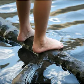 Alexander Technique and feet